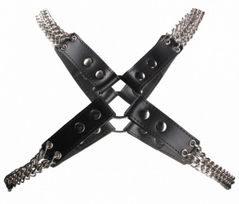    Chain And Chain Harness